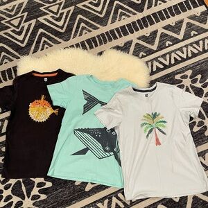 Tea Collection 5-Tee Bundle